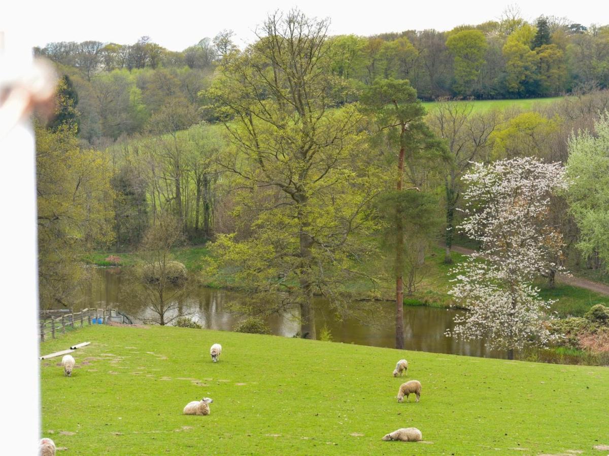 Twyford Farm B&B ヘイワーズ・ヒース エクステリア 写真